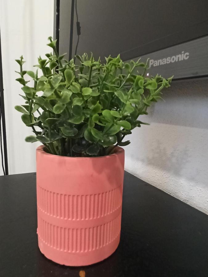 Apartamento Al Rosa Esperanca Angra do Heroísmo Exterior foto